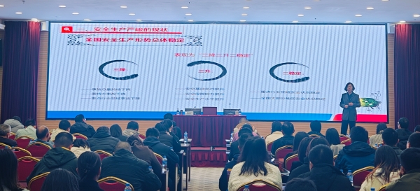 IMG_20241108_162949(1)